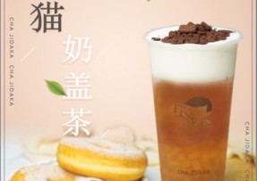 海星直播：熊猫奶盖茶